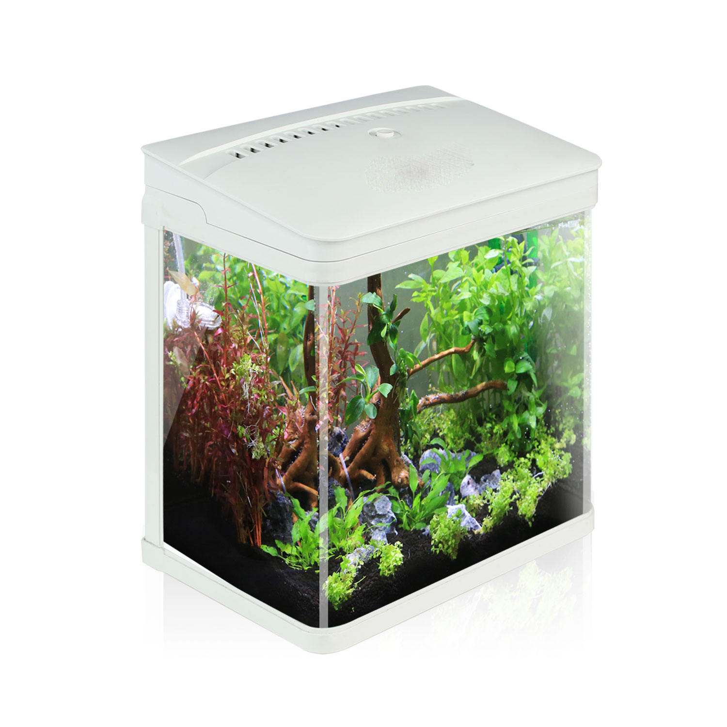 Aquarium en Verre avec Couvercle et lumières LED, Complet Bocal Poisson, Système de Filtration de 7 litres