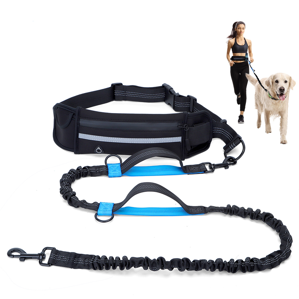  Laisses Mains Libres pour Chien